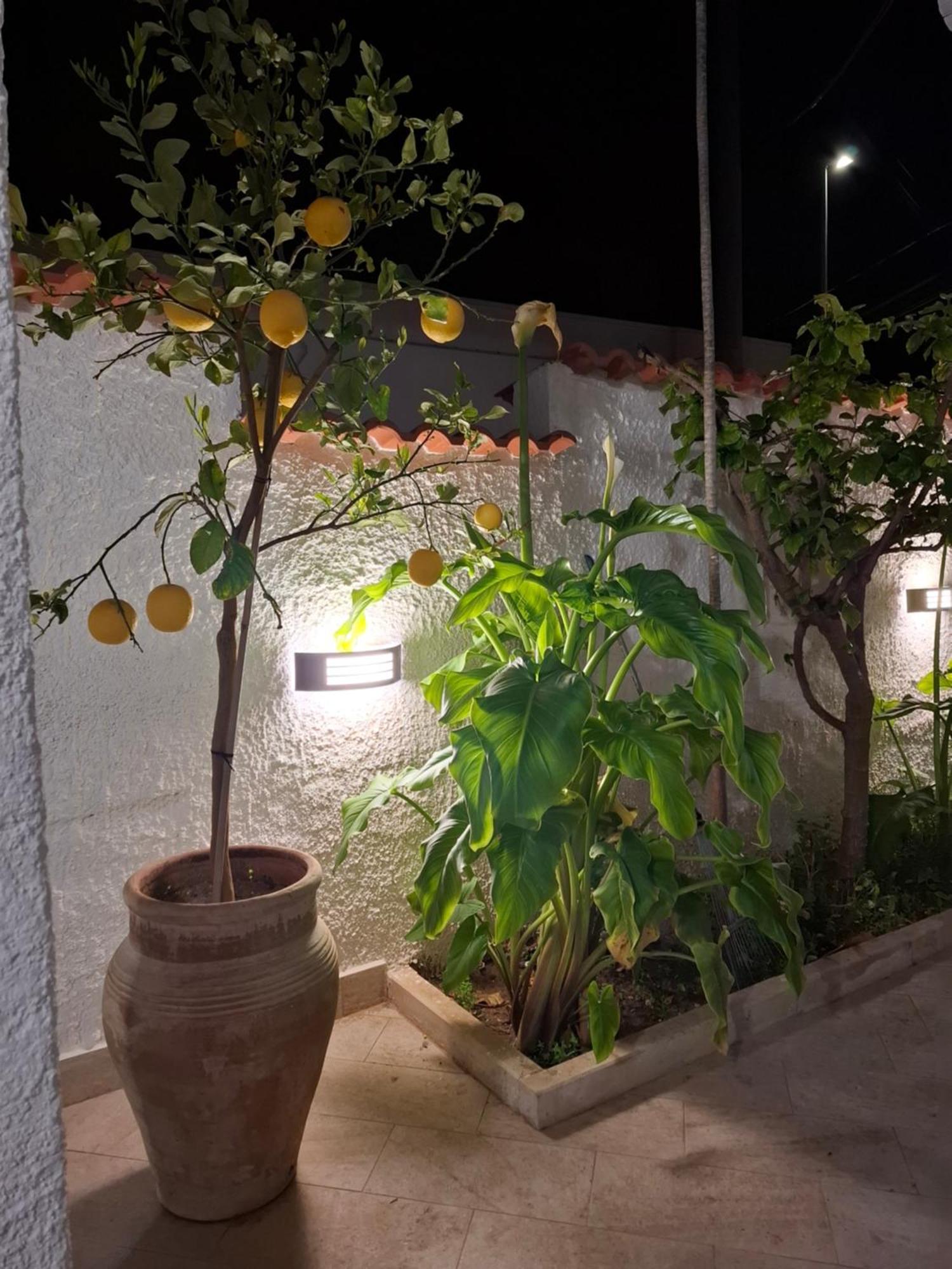 산타 마리아 델 포칼로 Toluammare Sicily 빌라 외부 사진